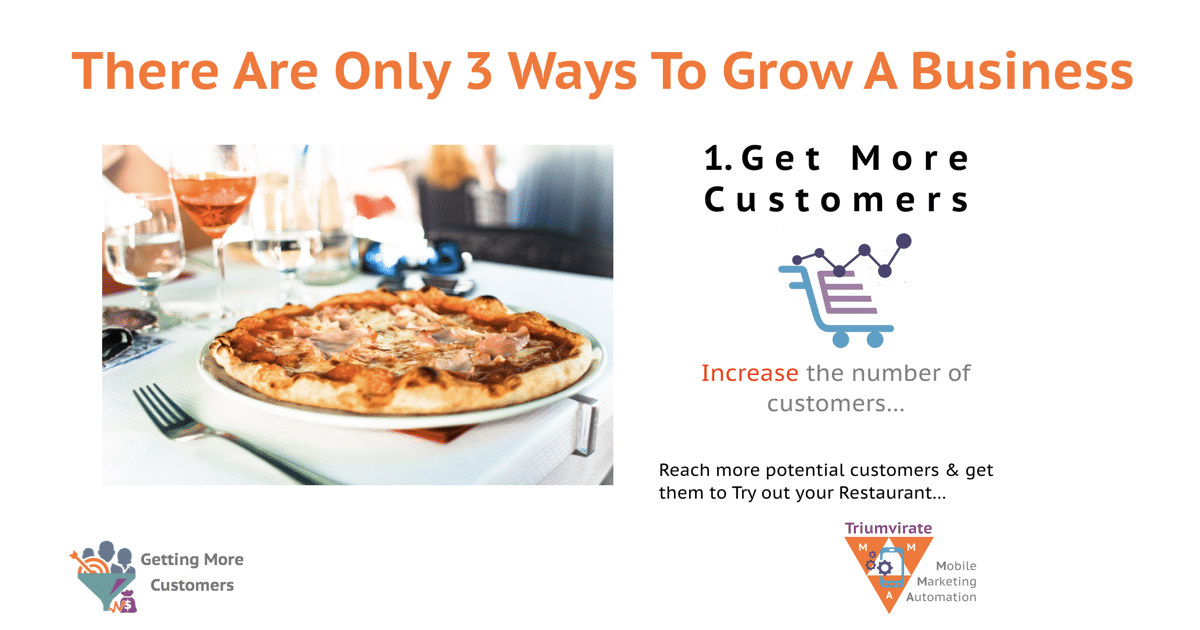 1 Get More Customers-TriumvirateMMA