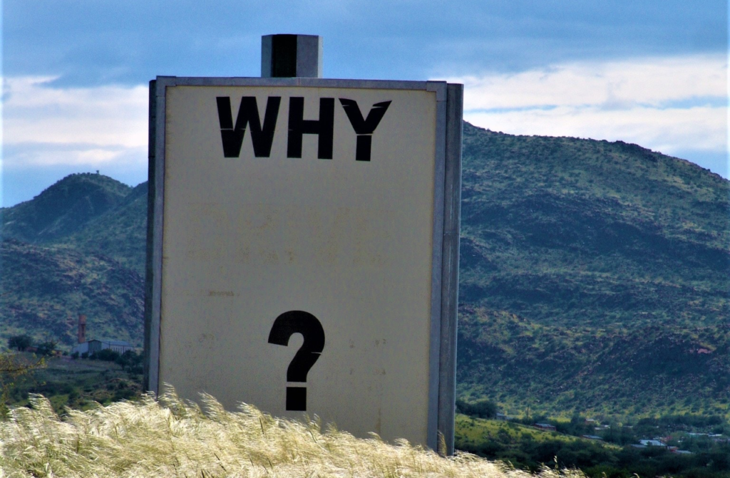 Delving Into Your Business - Asking The Right Questions