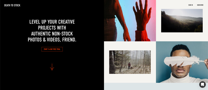 Death To Stock - Level Up Your Creative Projects With Authentic Non-Stock Photos & Videos, Friend