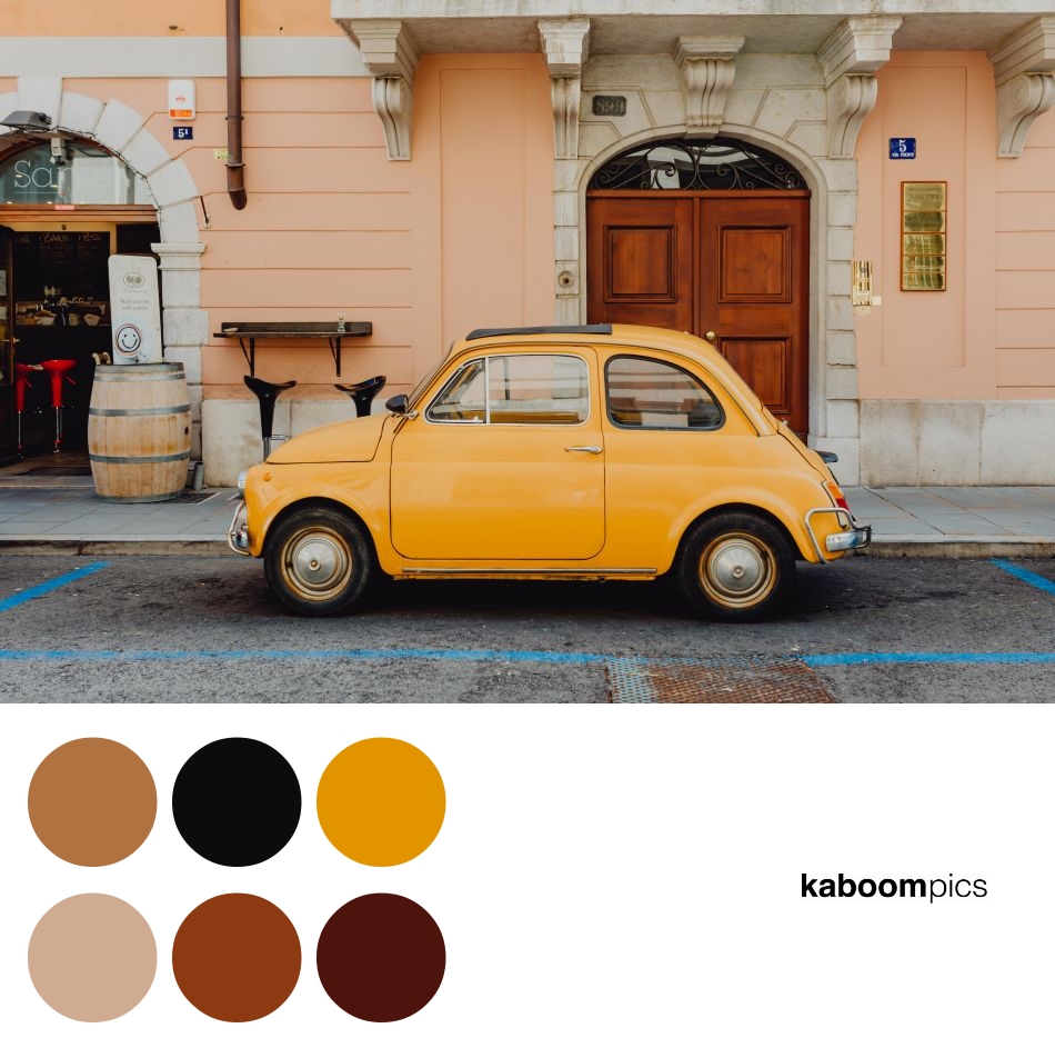 COMPLEMENTARY COLORS PALETTE The colors palette is generated from the photo, and comes with corresponding HEX colors